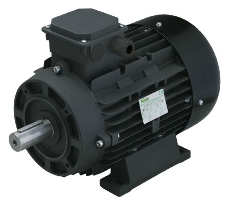 Trifase Alta Efficienza IE2 Serie RHE